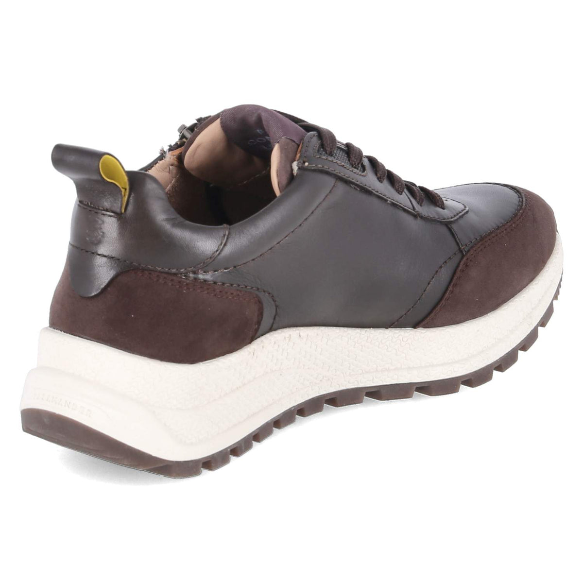 Low Sneaker Braun