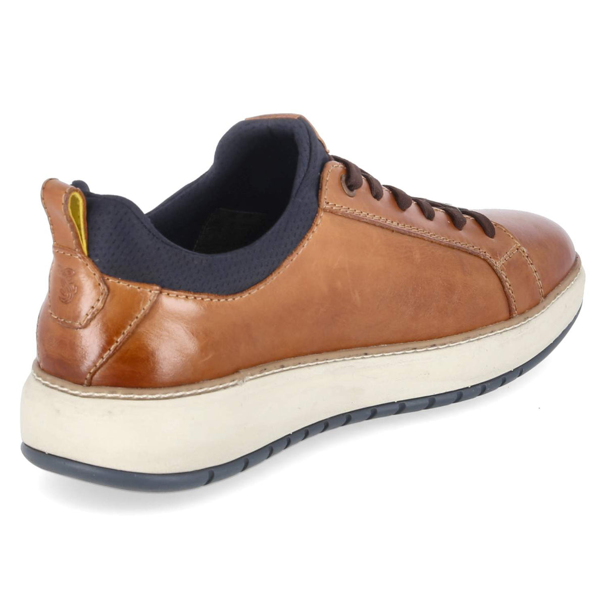 Low Sneaker Braun