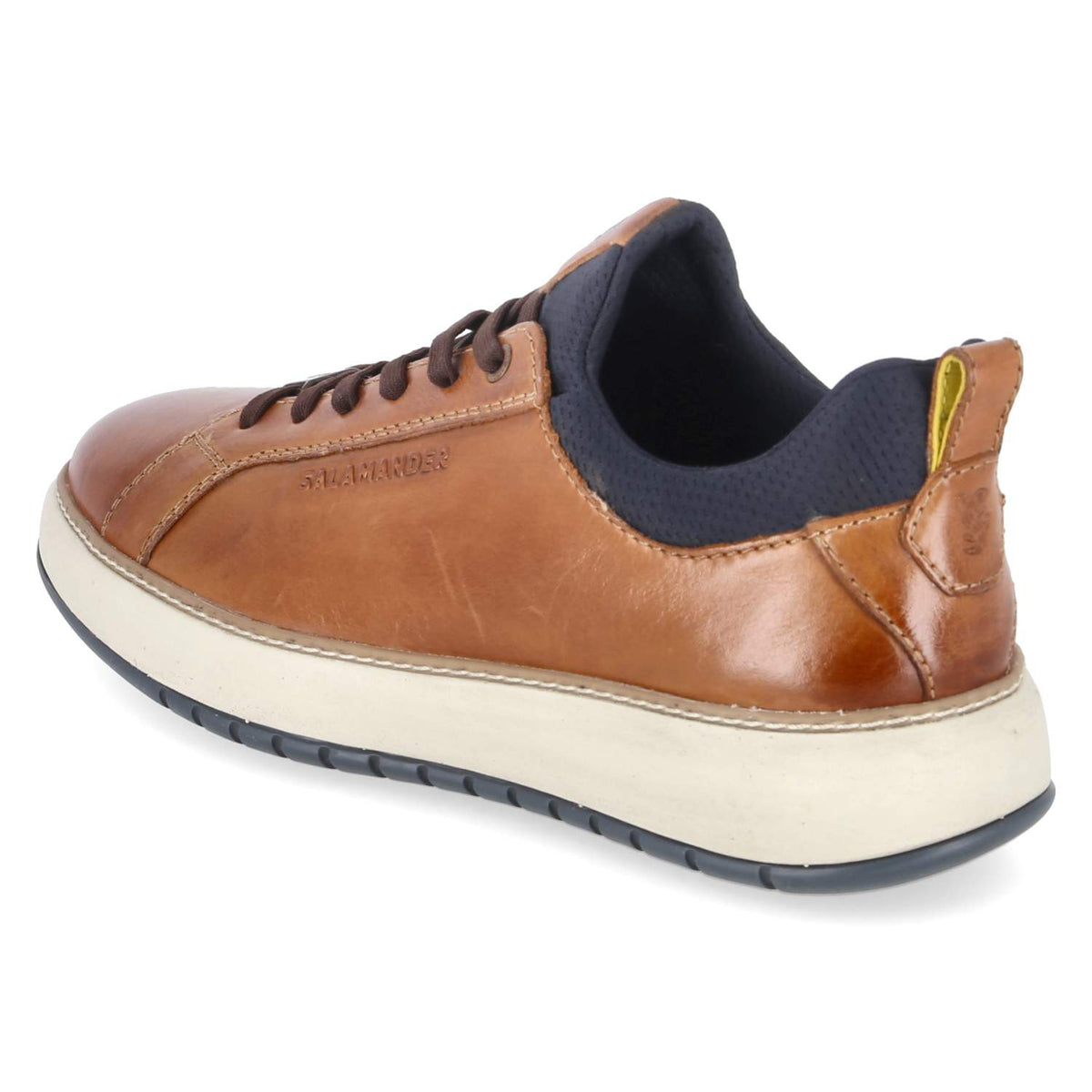 Low Sneaker Braun