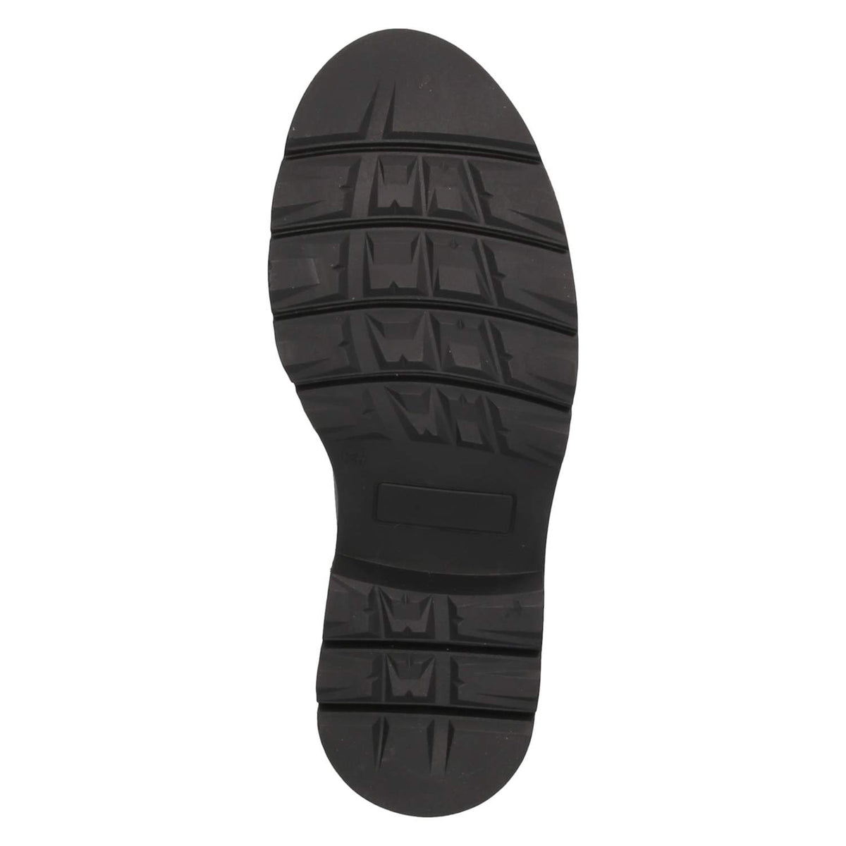 Slipper Rot