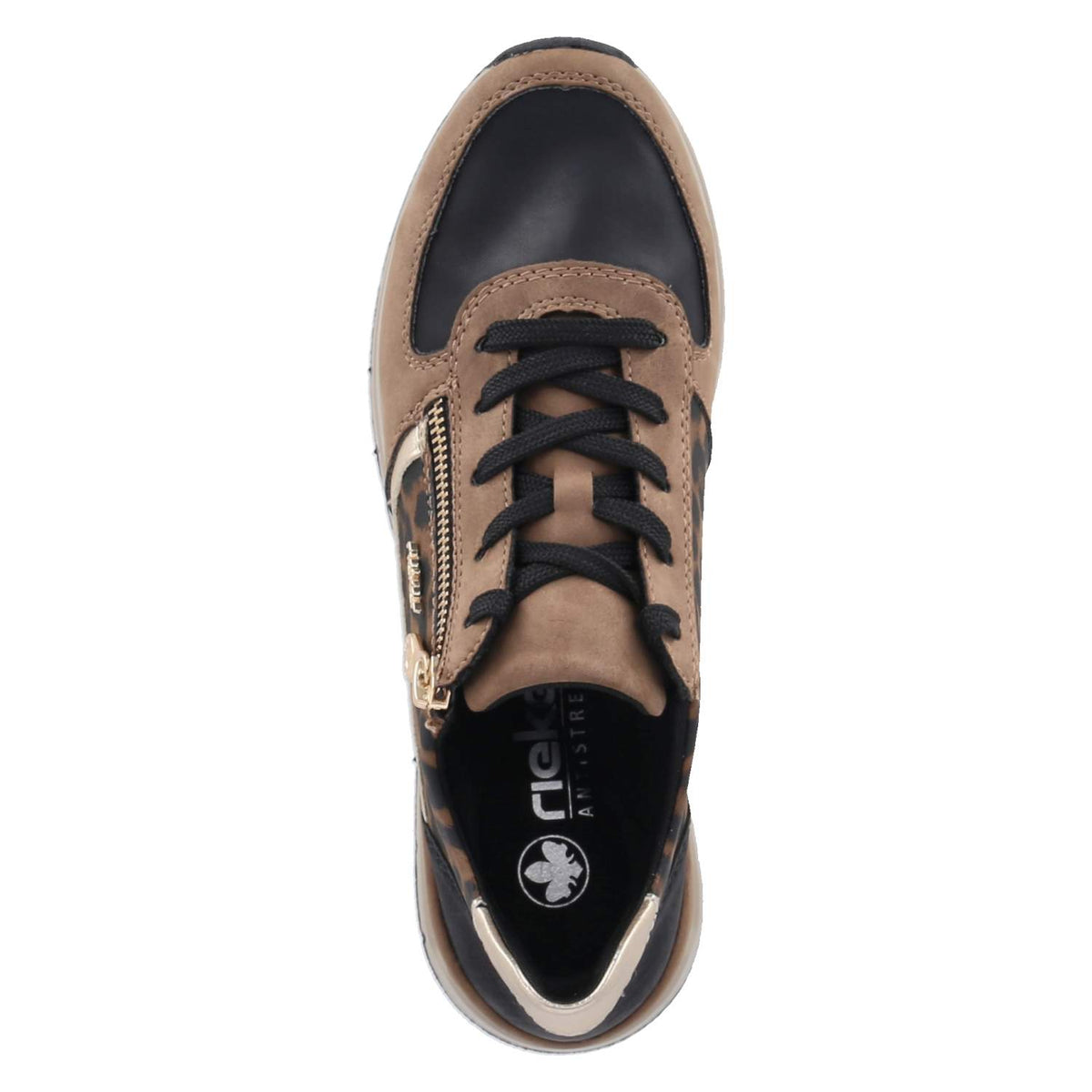 Low Sneaker Braun