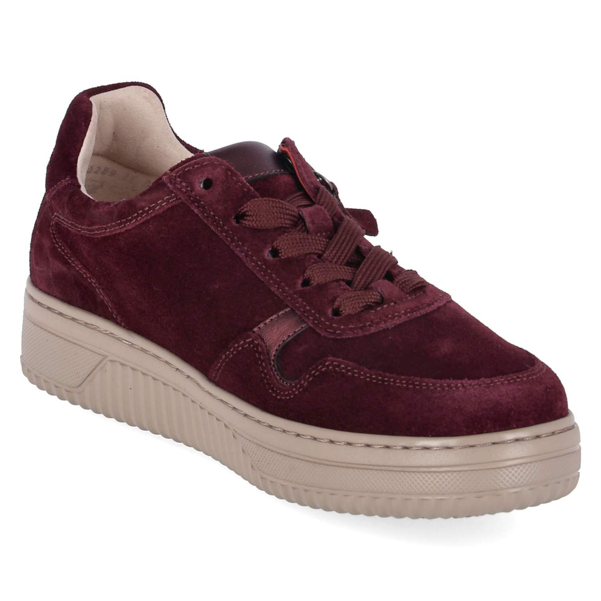 Low Sneaker Rot