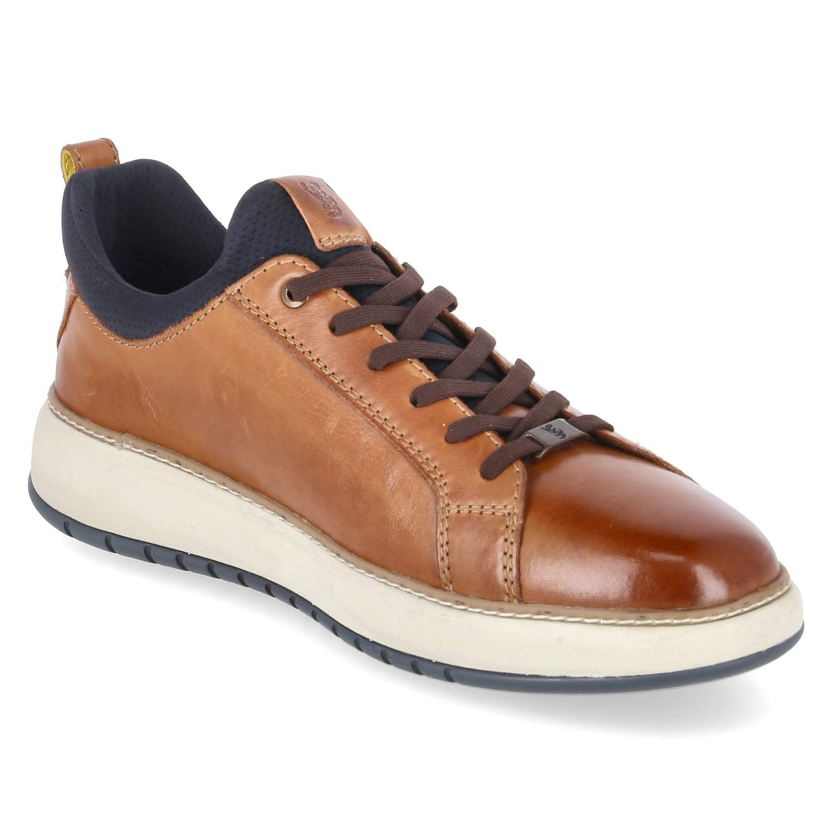 Low Sneaker Braun