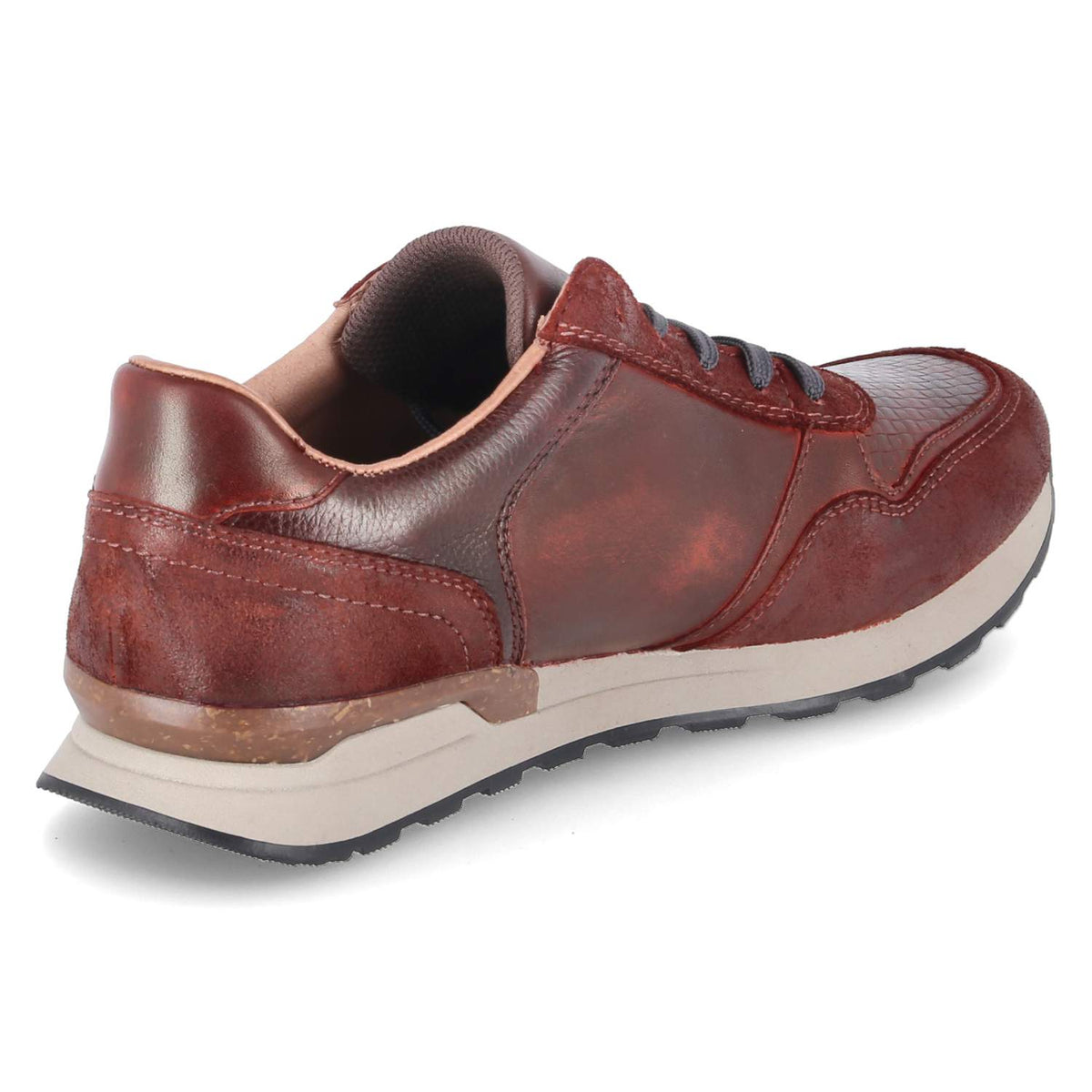 Low Sneaker Rot