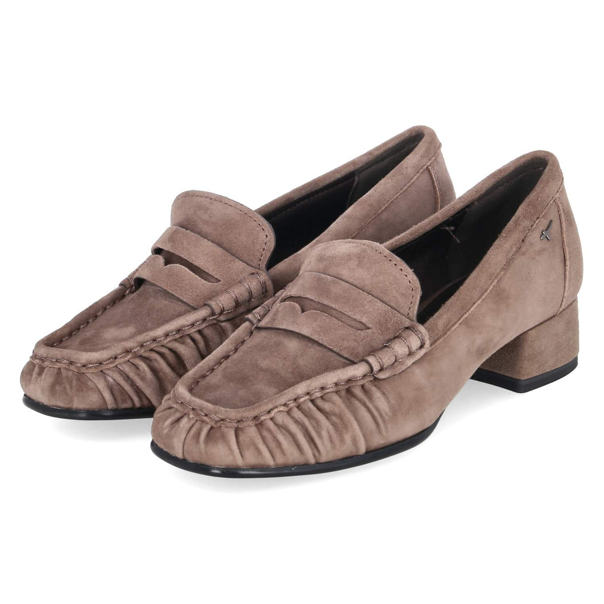 Trotteurs Taupe