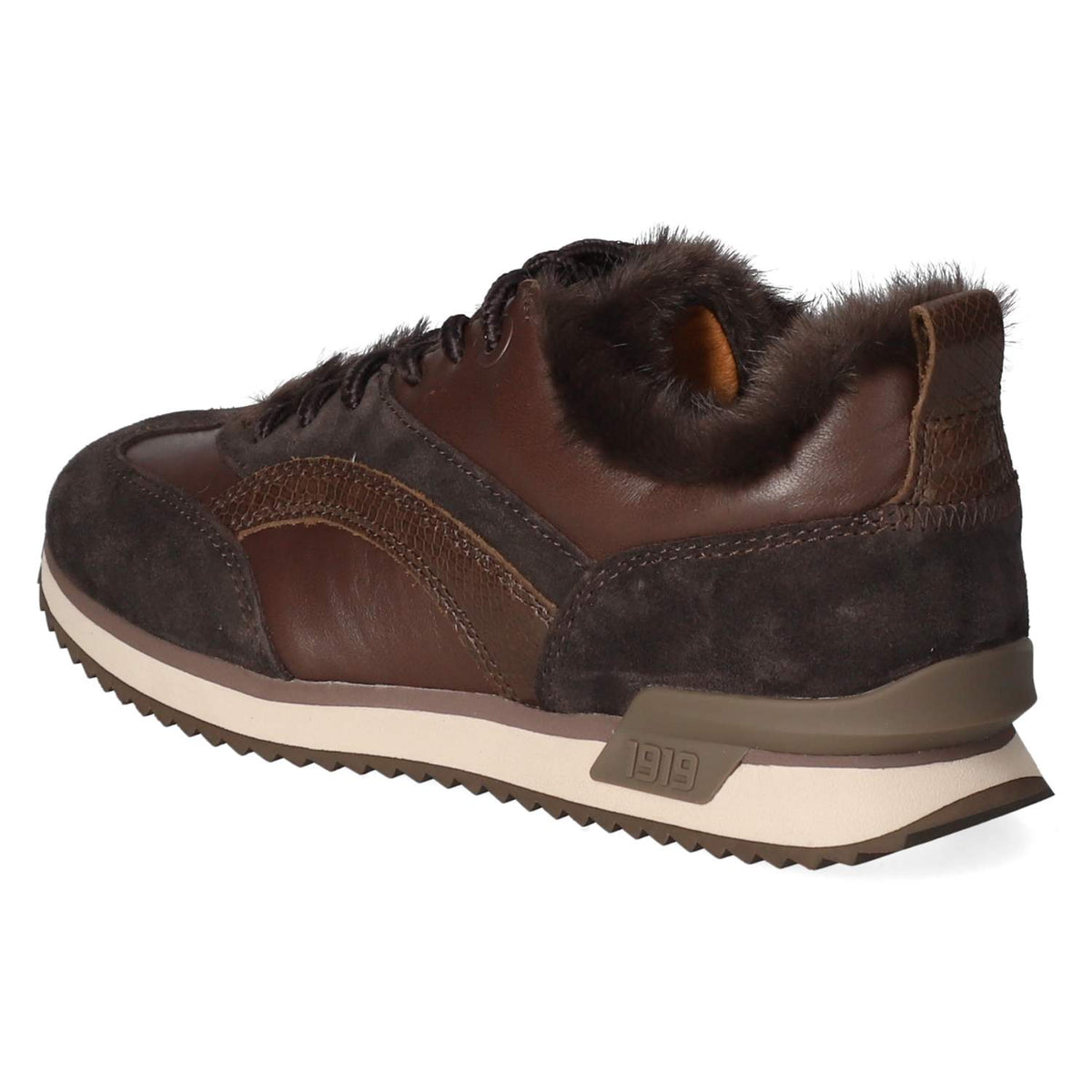 Low Sneaker  Braun