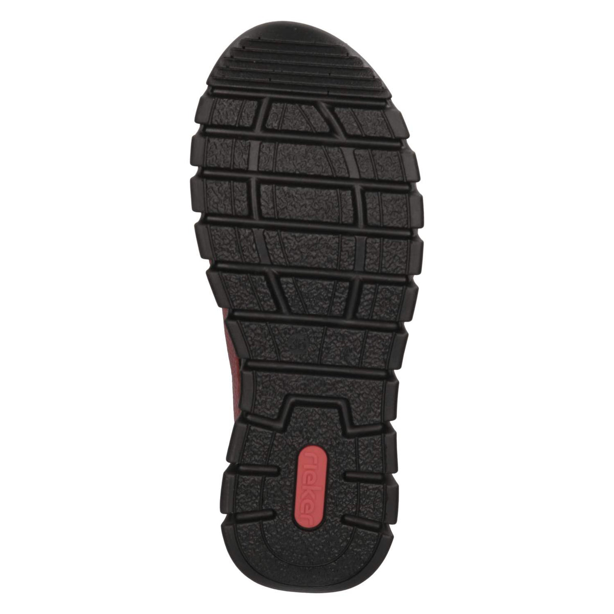Slipper  Rot