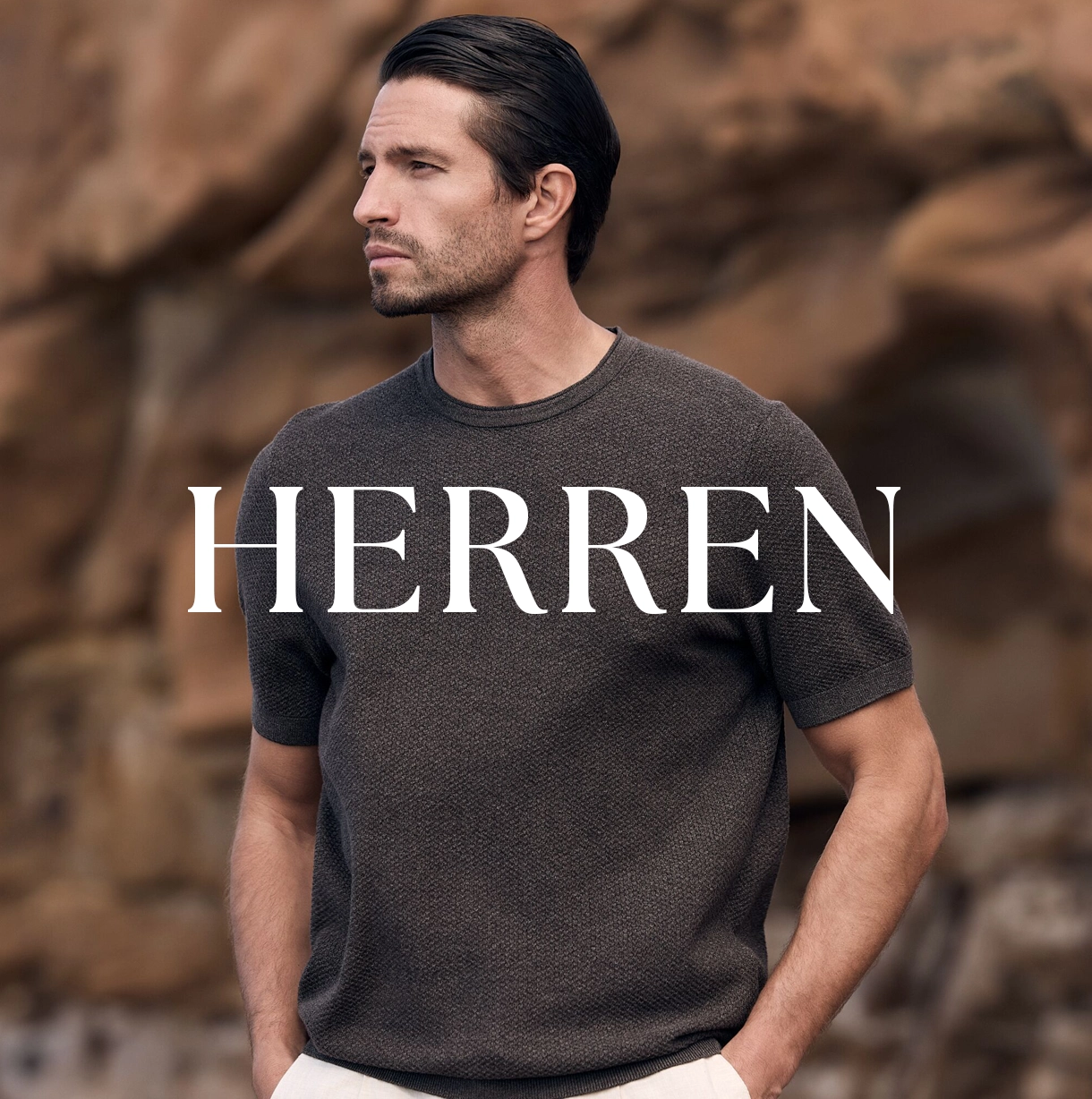 Herrenschuhe