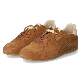 Low Sneaker SPERLY - Cognac