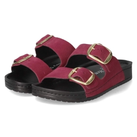 Pantoletten - bordo Pantoletten - bordo