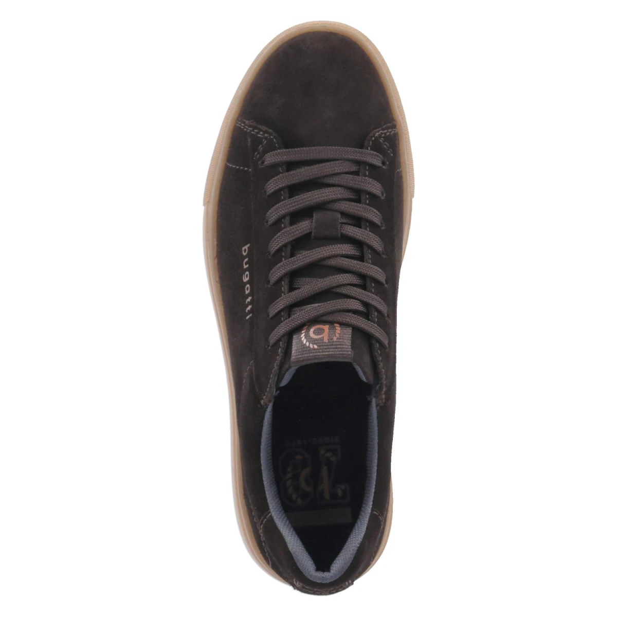 Low Sneaker - dark brown