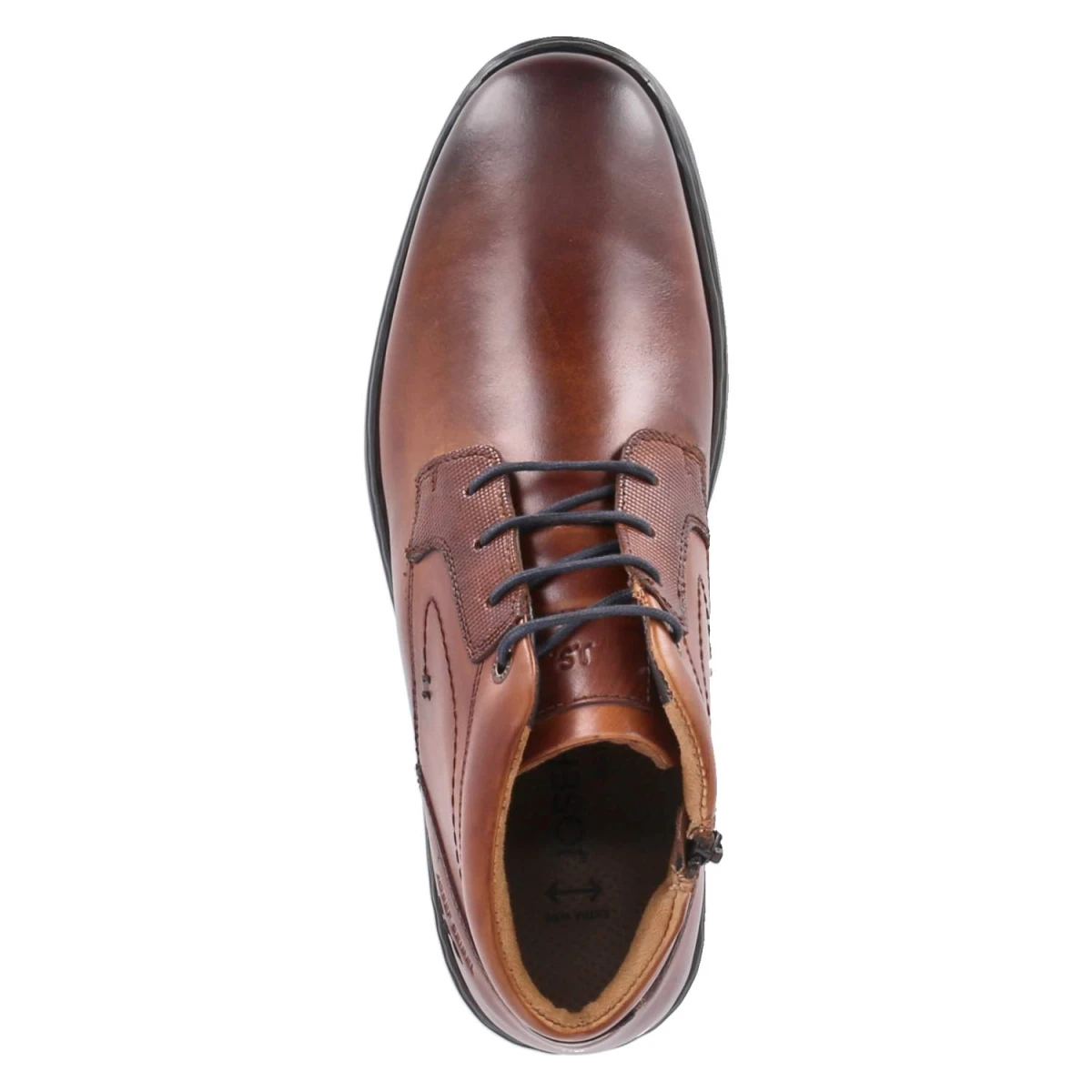 Stiefeletten ALASTAIR 17 - cognac