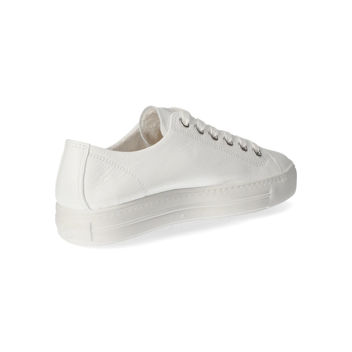 Low Sneaker - white/silver