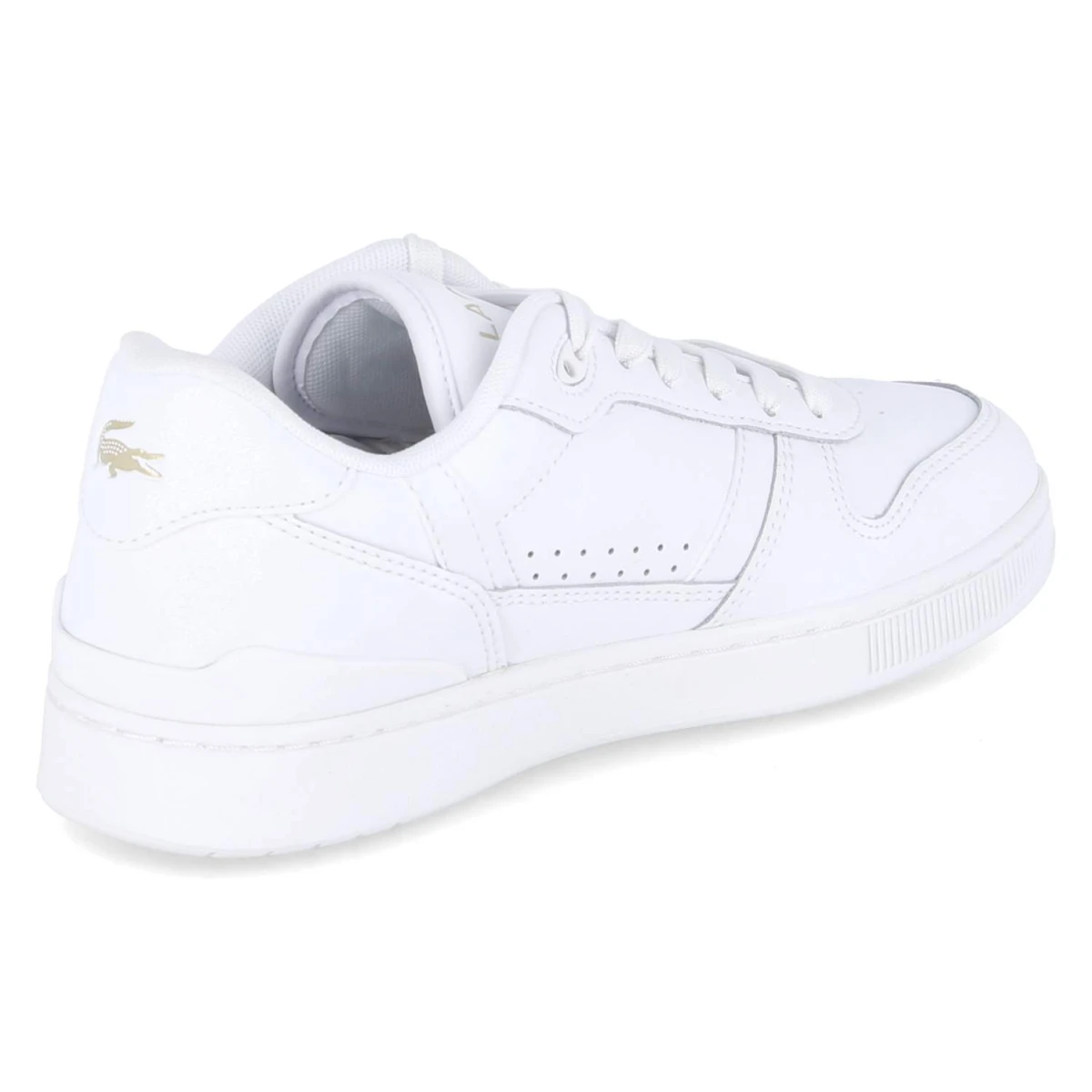 Low Sneaker T-CLIP SET - wht/gld